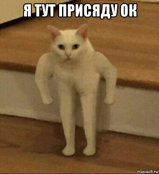 я тут присяду ок , Мем  Полукот