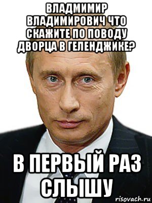 владмимир владимирович что скажите по поводу дворца в геленджике? в первый раз слышу, Мем Путин