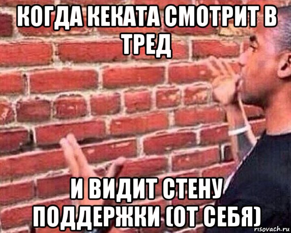 когда кеката смотрит в тред и видит стену поддержки (от себя)