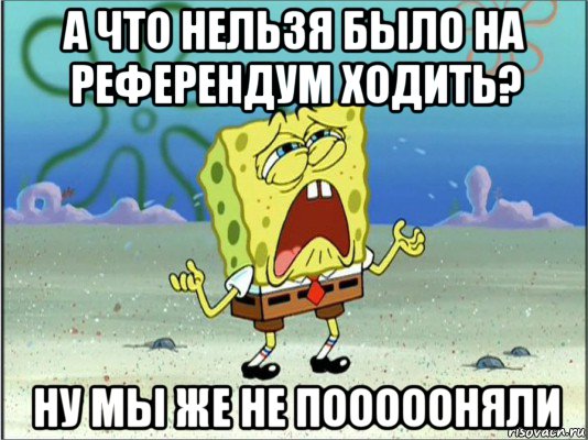 а что нельзя было на референдум ходить? ну мы же не поооооняли, Мем Спанч Боб плачет