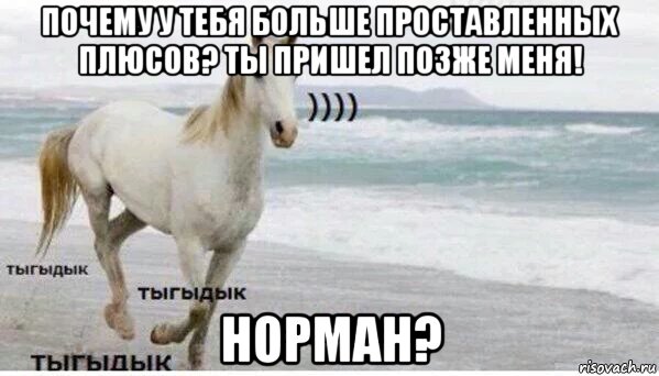 почему у тебя больше проставленных плюсов? ты пришел позже меня! норман?, Мем   Тыгыдык