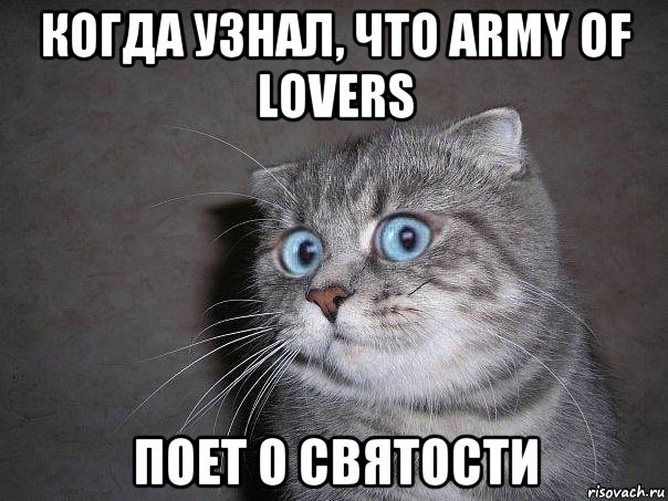 когда узнал, что army of lovers поет о святости, Мем  удивлённый кот