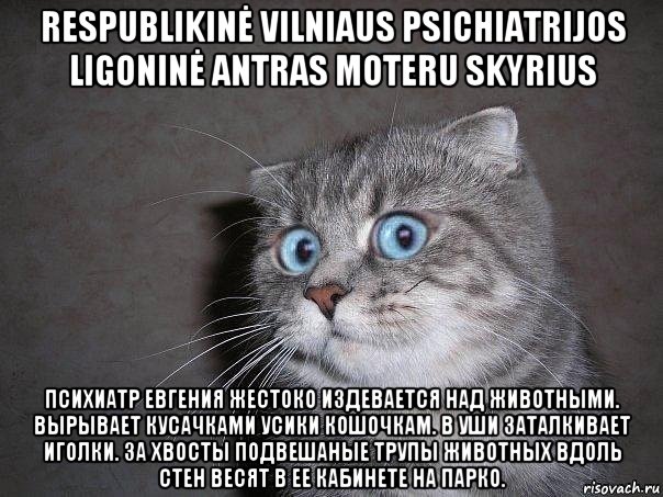 respublikinė vilniaus psichiatrijos ligoninė antras moteru skyrius психиатр евгения жестоко издевается над животными. вырывает кусачками усики кошочкам. в уши заталкивает иголки. за хвосты подвешаные трупы животных вдоль стен весят в ее кабинете на парко., Мем  удивлённый кот