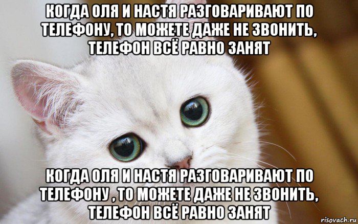 когда оля и настя разговаривают по телефону, то можете даже не звонить, телефон всё равно занят когда оля и настя разговаривают по телефону , то можете даже не звонить, телефон всё равно занят, Мем  В мире грустит один котик