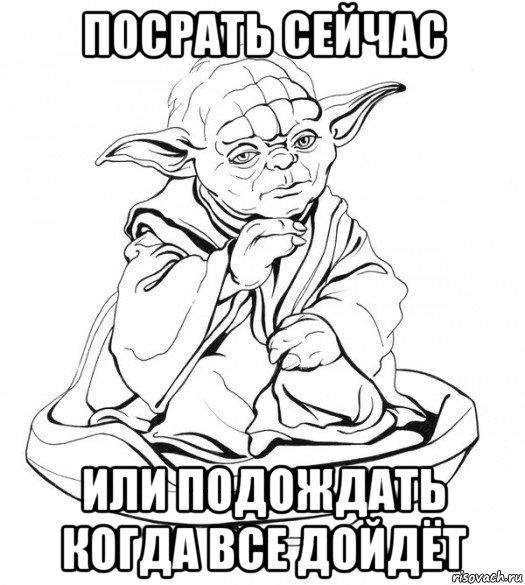 посрать сейчас или подождать когда все дойдёт, Мем Мастер Йода