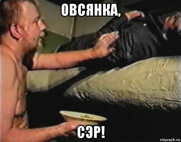 овсянка, сэр!, Мем Зеленый слоник