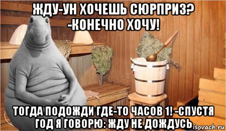 жду-ун хочешь сюрприз? -конечно хочу! тогда подожди где-то часов 1! -спустя год я говорю: жду не дождусь, Мем  Ждун в бане