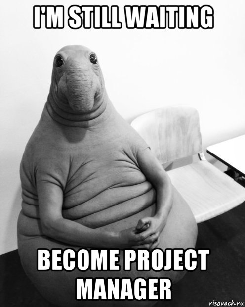 i'm still waiting become project manager, Мем  Ждун