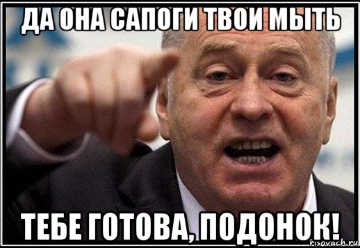 да она сапоги твои мыть тебе готова, подонок!