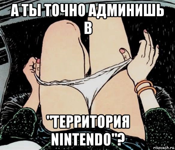 а ты точно админишь в "территория nintendo"?, Мем А ты точно