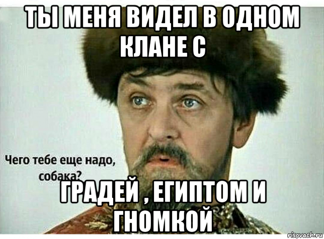 Чего тебе еще надо собака. Чего тебе еще надо собака Мем. Чего тебе еще надо хороняка. Че тебе еще надо собака картинка.