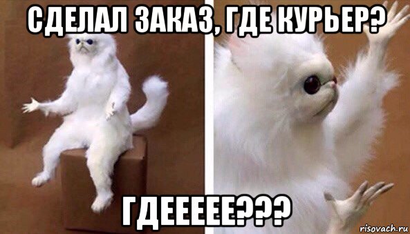 сделал заказ, где курьер? гдеееее???, Мем Чучело кота