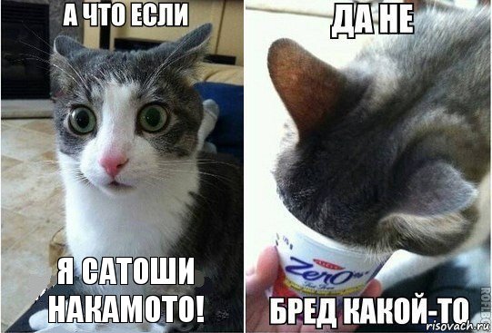 Я Сатоши Накамото!