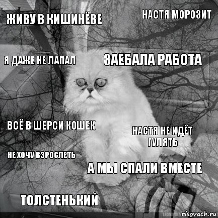 живу в кишинёве настя не идёт гулять заебала работа толстенький всё в шерси кошек настя морозит а мы спали вместе я даже не лапал не хочу взрослеть , Комикс  кот безысходность