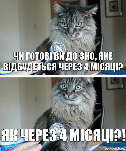 Чи готові ви до ЗНО, яке відбудеться через 4 місяці? Як через 4 місяці?!, Комикс  кот с микрофоном