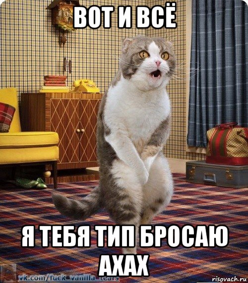 Вид кинуть. Мемы с котами. Соблазнительный кот Мем. Соблазняющий кот Мем.