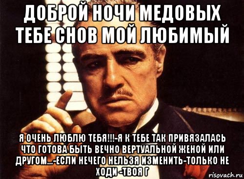 доброй ночи медовых тебе снов мой любимый я очень люблю тебя!!!-я к тебе так привязалась что готова быть вечно вертуальной женой или другом...-если нечего нельзя изменить-только не ходи -твоя г, Мем крестный отец