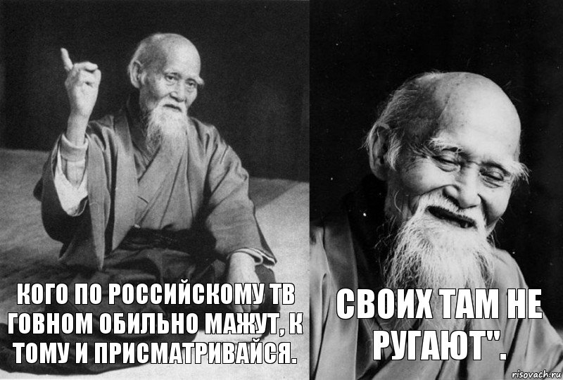 Кого по российскому тв говном обильно мажут, к тому и присматривайся. Своих там не ругают"., Комикс Мудрец-монах (2 зоны)