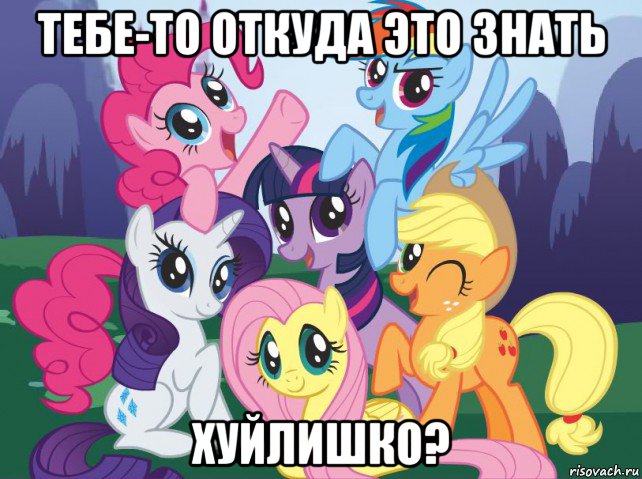 тебе-то откуда это знать хуйлишко?, Мем My little pony