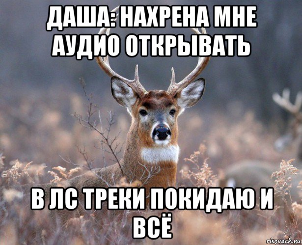 даша: нахрена мне аудио открывать в лс треки покидаю и всё, Мем   Наивный олень