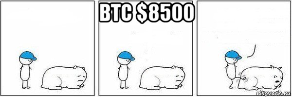 btc $8500 