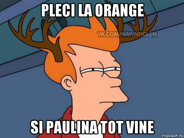 pleci la orange si paulina tot vine, Мем  Подозрительный олень