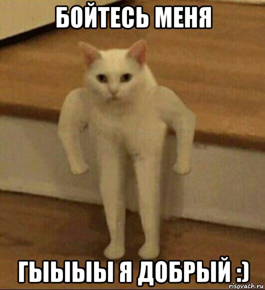 бойтесь меня гыыыы я добрый :), Мем  Полукот