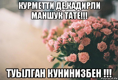 курметти де,кадирли маншук тате!!! туылган кунинизбен !!!, Мем С Днем рождения