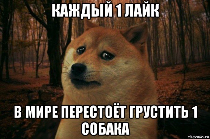 каждый 1 лайк в мире перестоёт грустить 1 собака, Мем SAD DOGE