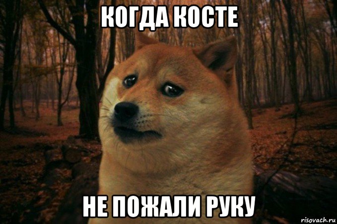 когда косте не пожали руку, Мем SAD DOGE