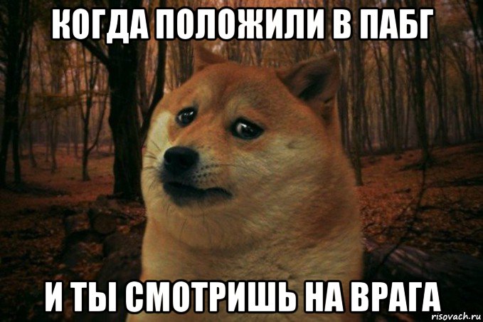 когда положили в пабг и ты смотришь на врага, Мем SAD DOGE