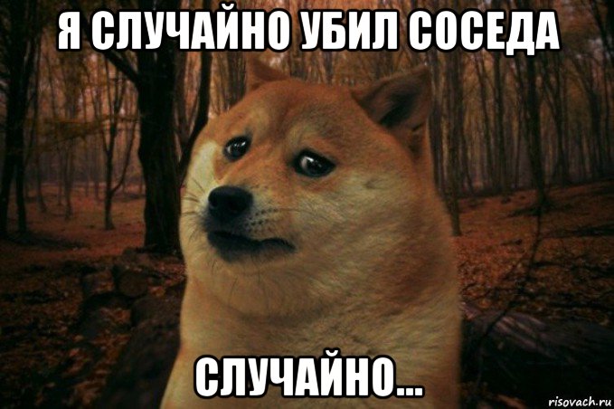 я случайно убил соседа случайно..., Мем SAD DOGE