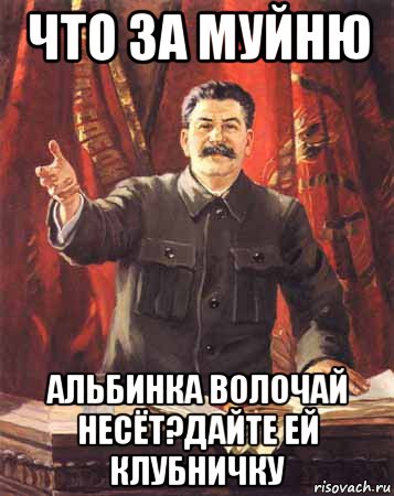 что за муйню альбинка волочай несёт?дайте ей клубничку, Мем  сталин цветной