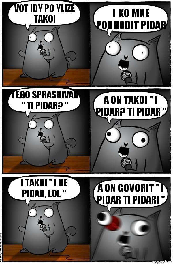 Vot idy po ylize takoi I ko mne podhodit pidar i ego sprashivau " ti pidar? " a on takoi " i pidar? ti pidar " i takoi " i ne pidar, lol " a on govorit " I pidar ti pidar! ", Комикс  Стендап-кот