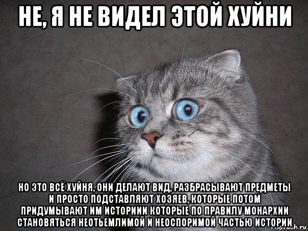 не, я не видел этой хуйни но это всё хуйня, они делают вид, разбрасывают предметы и просто подставляют хозяев, которые потом придумывают им историии которые по правилу монархии становяться неотьемлимой и неоспоримой частью истории, Мем  удивлённый кот