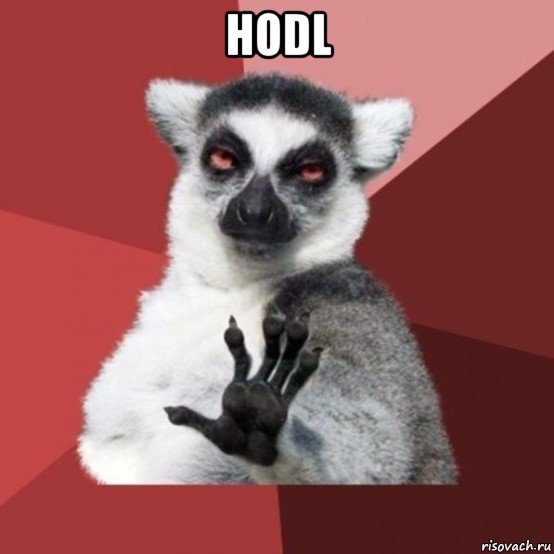 hodl , Мем Узбагойзя