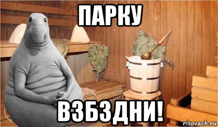 парку взбздни!, Мем  Ждун в бане