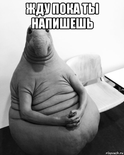 жду пока ты напишешь , Мем  Ждун