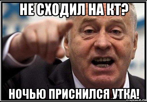 не сходил на кт? ночью приснился утка!