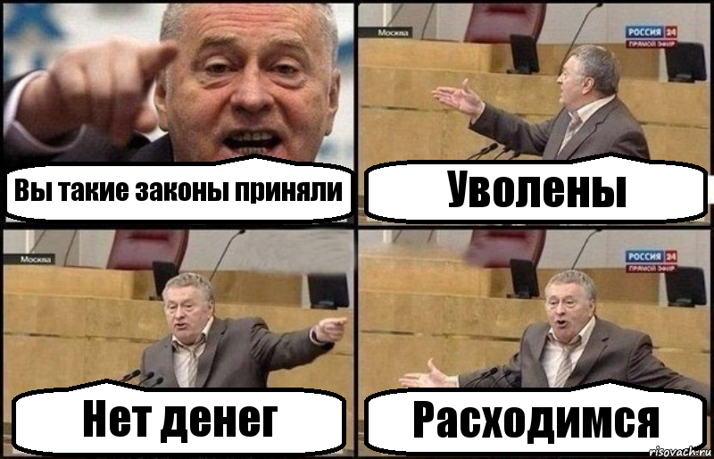 Вы такие законы приняли Уволены Нет денег Расходимся, Комикс Жириновский