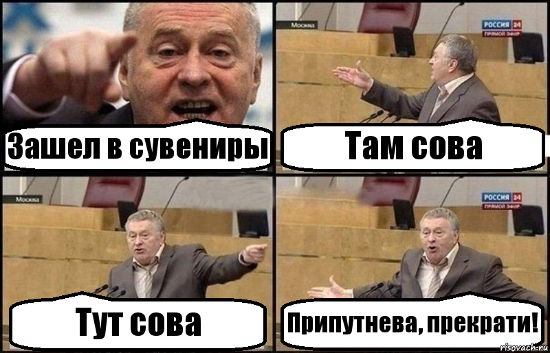 Зашел в сувениры Там сова Тут сова Припутнева, прекрати!, Комикс Жириновский