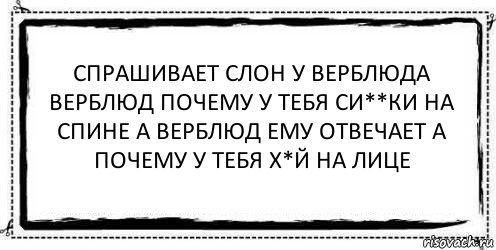 Спрашивает слон у верблюда верблюд почему у тебя си**ки на спине а верблюд ему отвечает а почему у тебя х*й на лице 