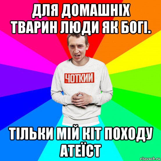 для домашніх тварин люди як богі. тільки мій кіт походу атеїст, Мем Чоткий