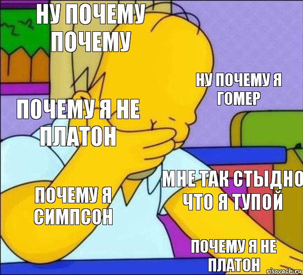 ну почему почему ну почему я гомер почему я не платон мне так стыдно что я тупой почему я симпсон почему я не платон, Комикс   Гомер фэйспалм