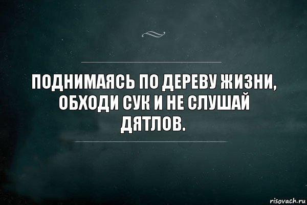 Поднимаясь по дереву жизни, обходи сук и не слушай дятлов., Комикс Игра Слов