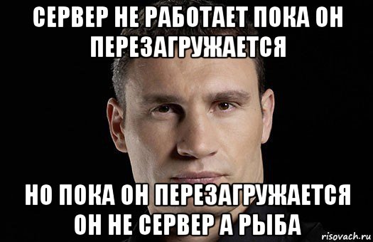 сервер не работает пока он перезагружается но пока он перезагружается он не сервер а рыба, Мем Кличко