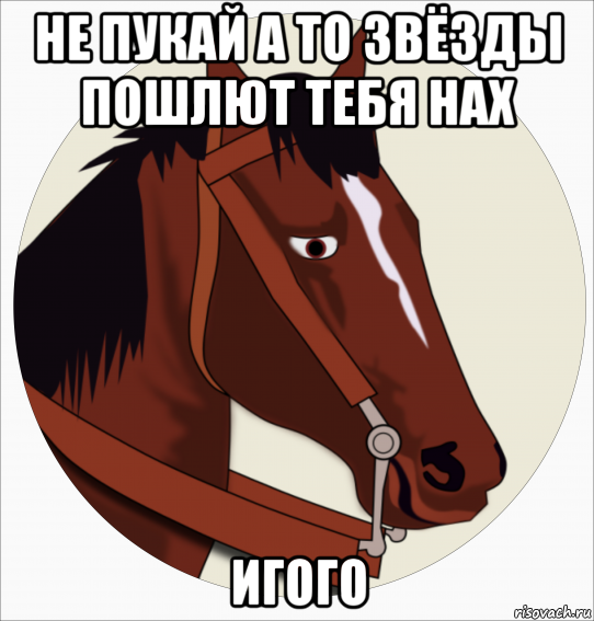 Конь Мем. Мемы про лошадей. Мемы с конями. Мемы с лошадьми смешные. И вдруг совершенно неожиданно конь