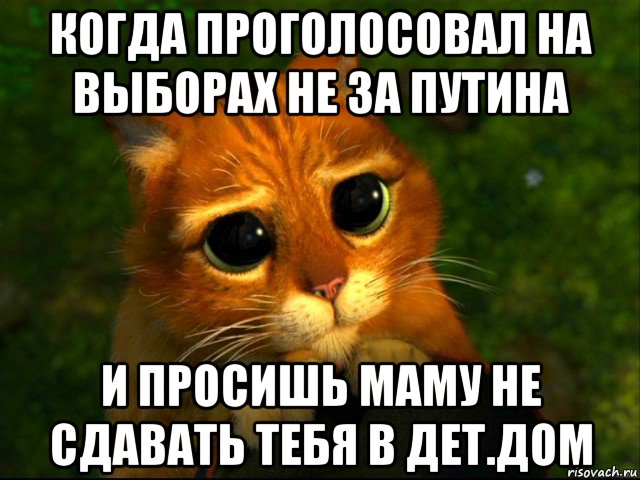 когда проголосовал на выборах не за путина и просишь маму не сдавать тебя в дет.дом, Мем кот из шрека