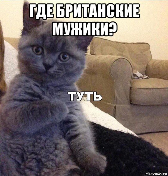 где британские мужики? 