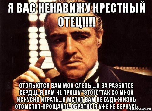 я вас ненавижу крестный отец!!!! отольются вам мои слезы...и за раэбитое сердце-я вам не прошу "этого"так со мной искусно играть...я мстит вам не буду-жизнь отомстит-прощайте-обратно я уже не вернусь, Мем крестный отец